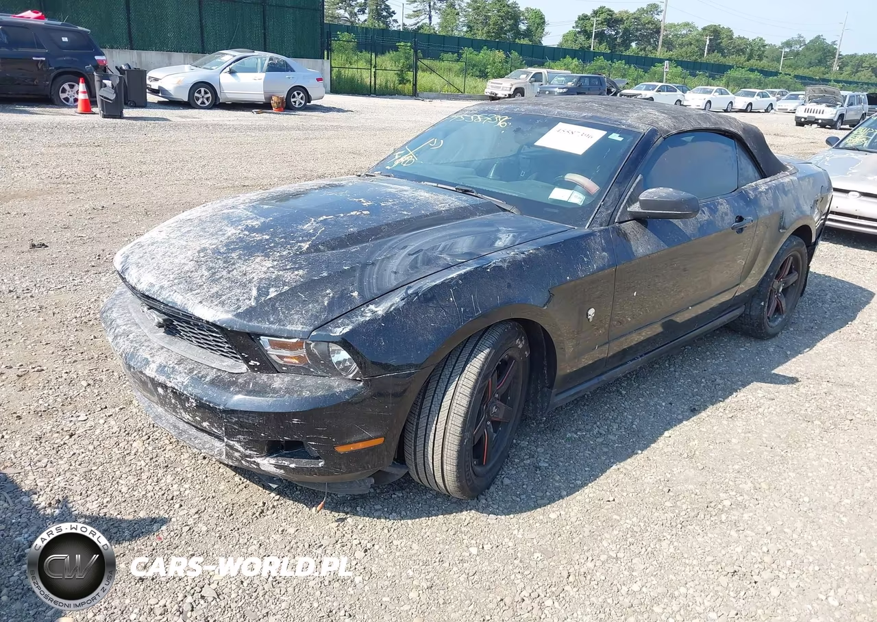 2012 Ford Mustang V6 VIN:1ZVBP8EM8C5242098 - 2