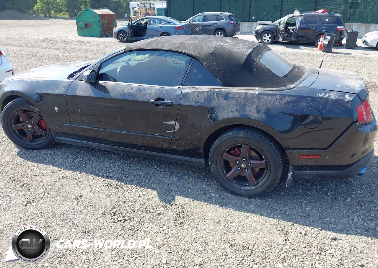 2012 Ford Mustang V6 VIN:1ZVBP8EM8C5242098 - 6