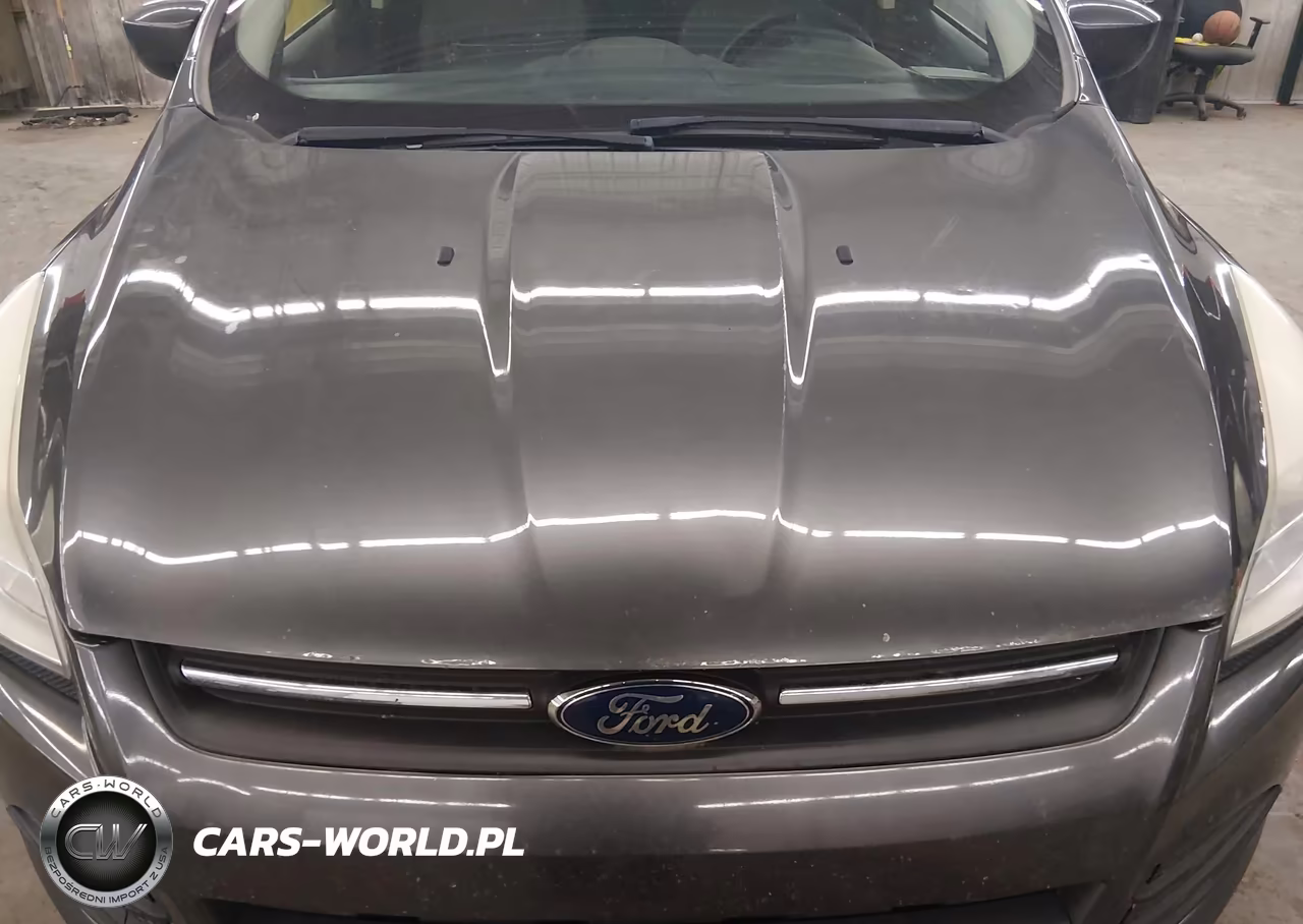 2015 Ford Escape Se VIN:1FMCU9GX2FUB82600 - 13