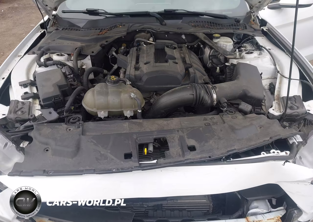 2019 Ford Mustang Ecoboost Premium VIN:1FATP8UHXK5158607 - 10