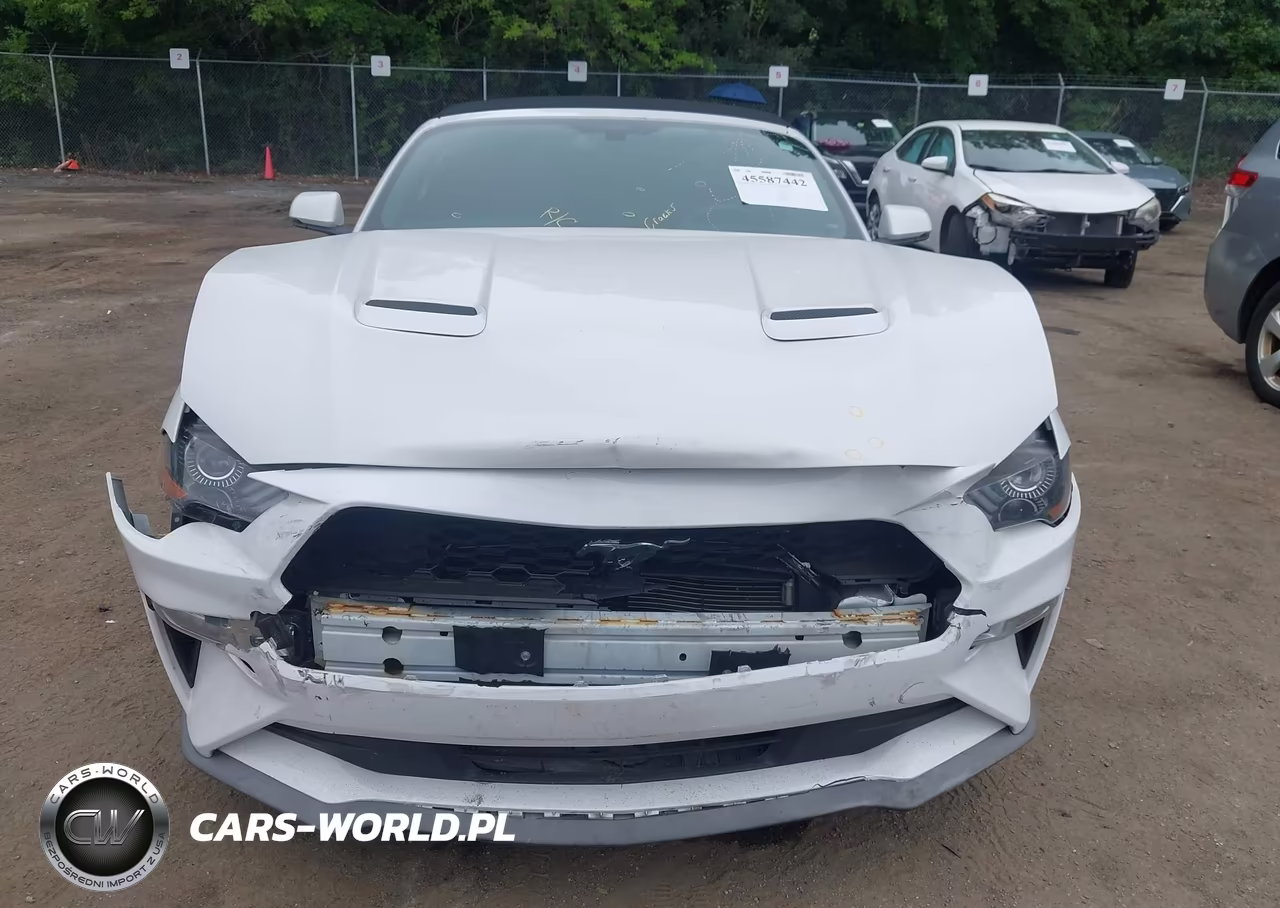 2019 Ford Mustang Ecoboost Premium VIN:1FATP8UHXK5158607 - 13
