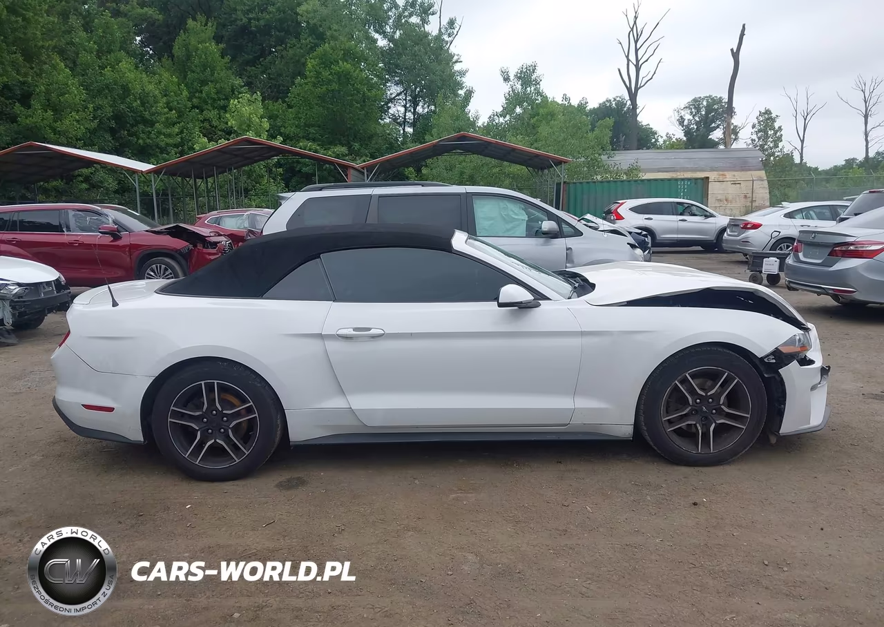 2019 Ford Mustang Ecoboost Premium VIN:1FATP8UHXK5158607 - 14