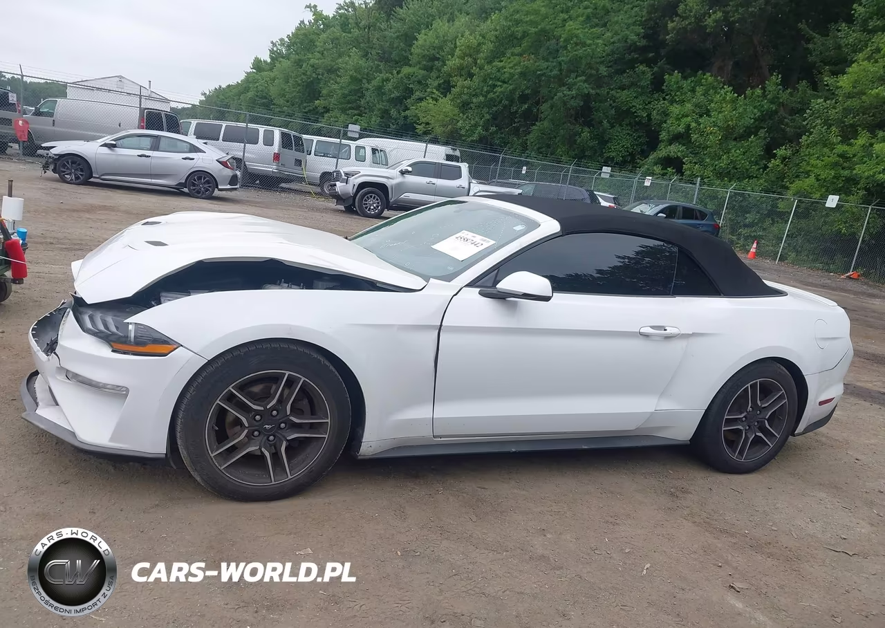 2019 Ford Mustang Ecoboost Premium VIN:1FATP8UHXK5158607 - 15