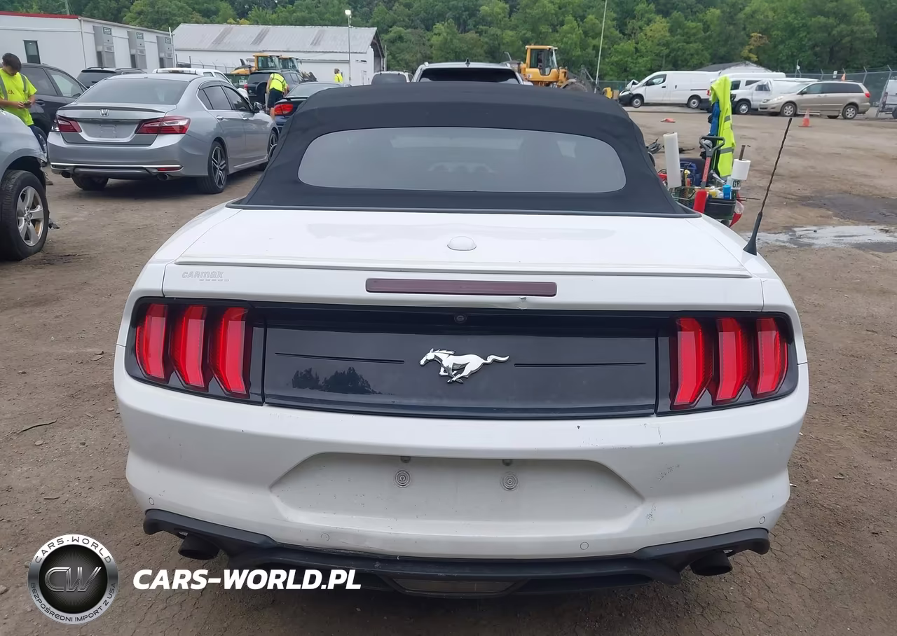 2019 Ford Mustang Ecoboost Premium VIN:1FATP8UHXK5158607 - 17
