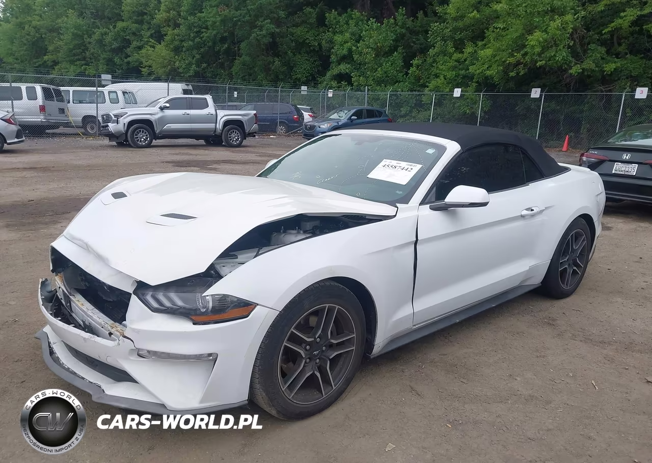 2019 Ford Mustang Ecoboost Premium VIN:1FATP8UHXK5158607 - 2