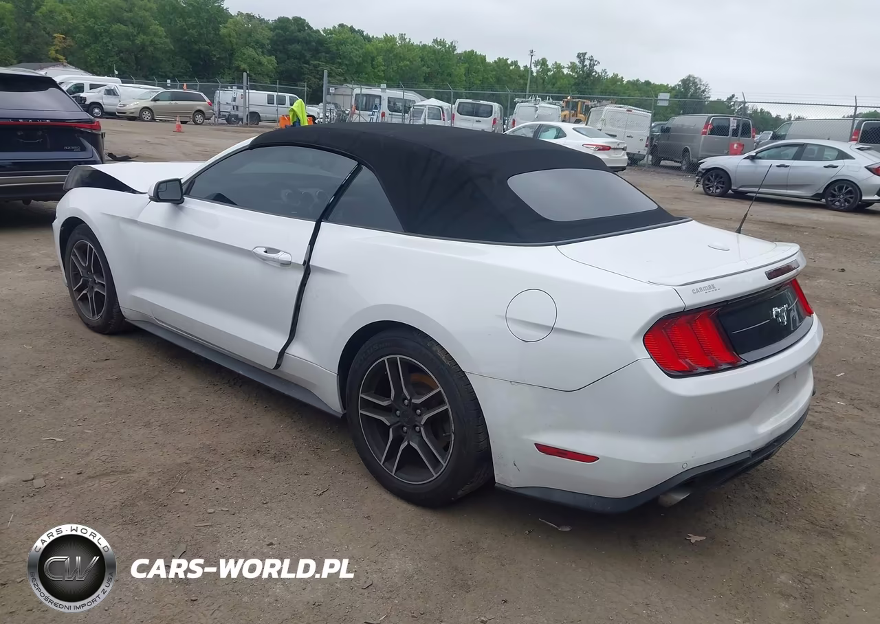 2019 Ford Mustang Ecoboost Premium VIN:1FATP8UHXK5158607 - 3