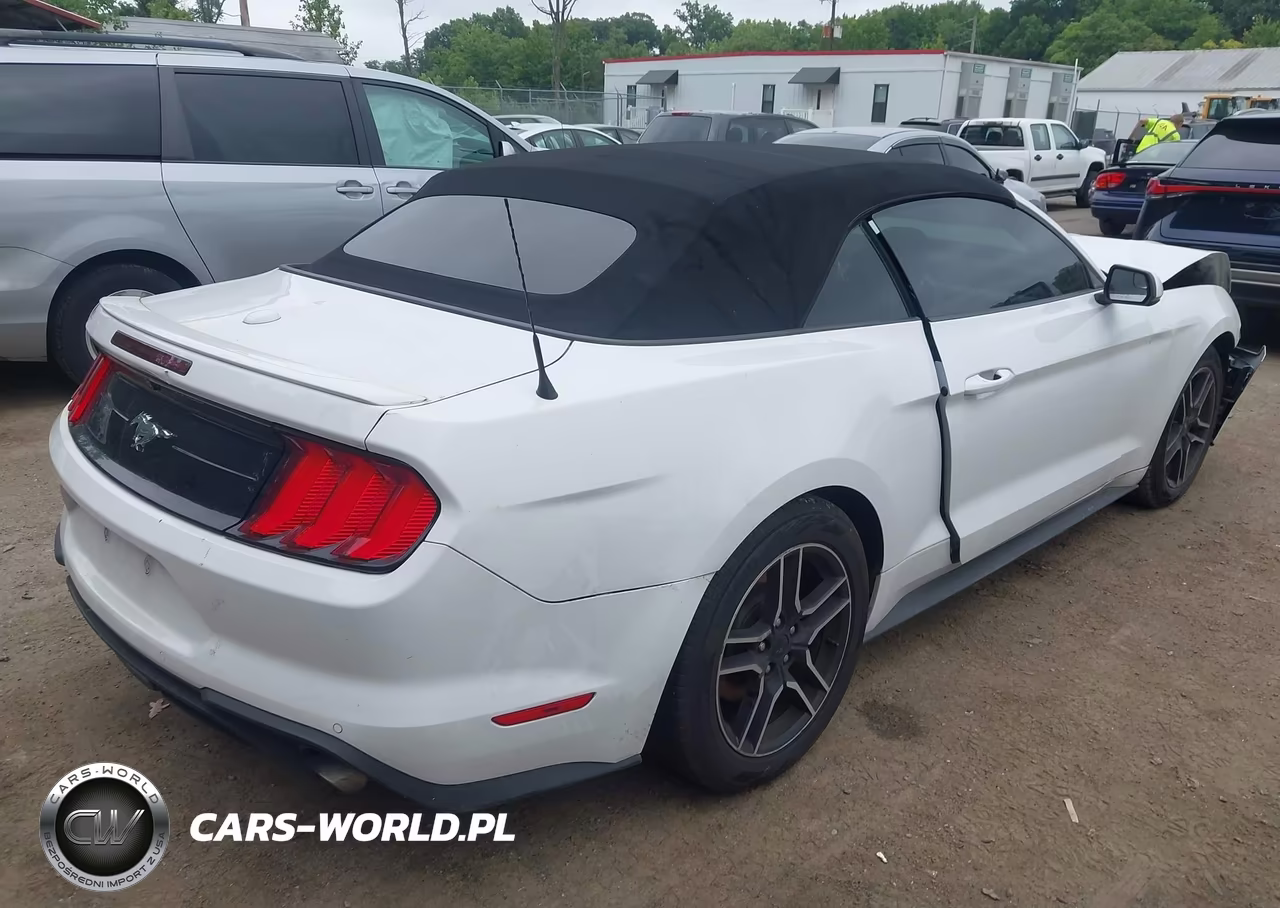 2019 Ford Mustang Ecoboost Premium VIN:1FATP8UHXK5158607 - 4