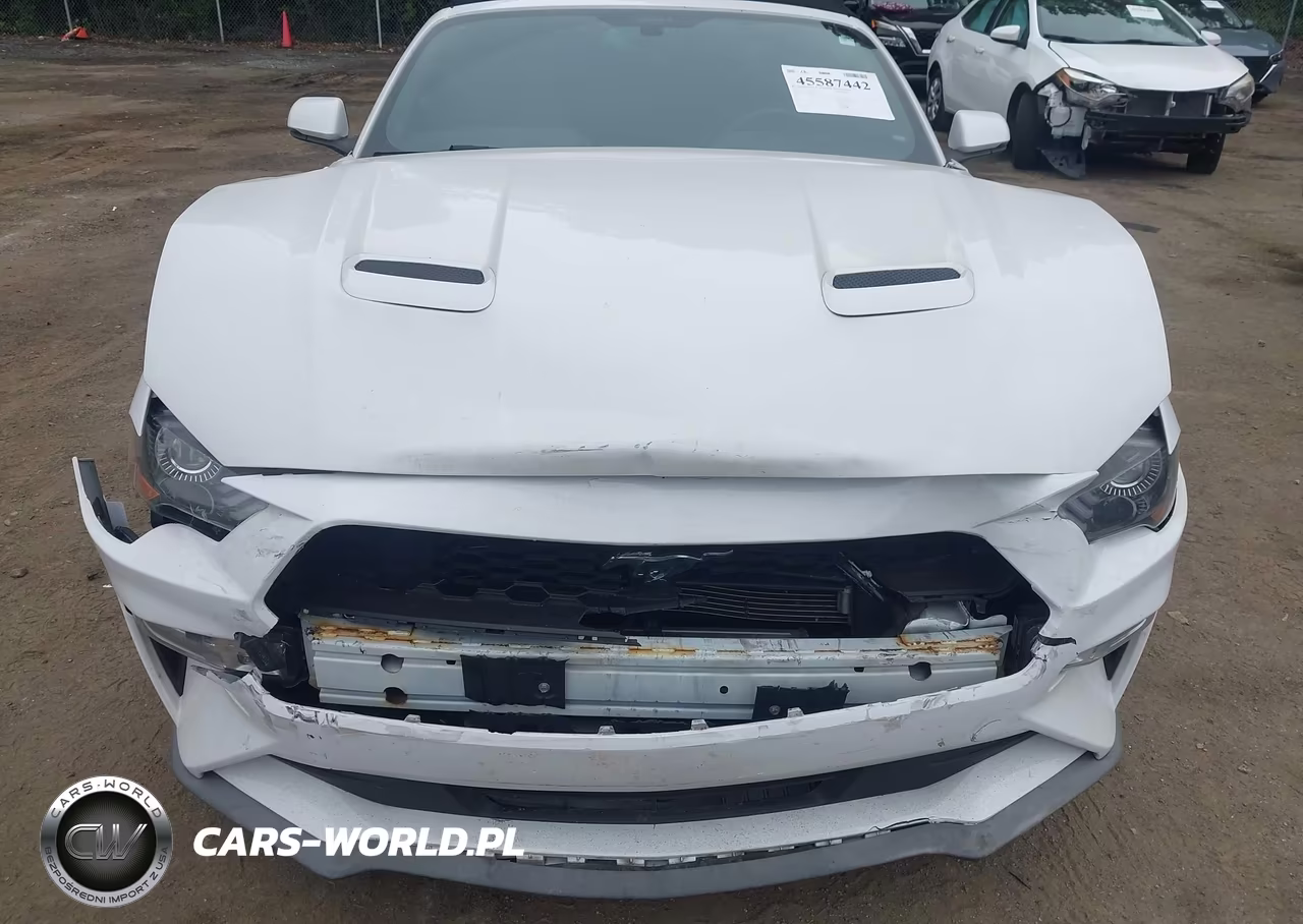 2019 Ford Mustang Ecoboost Premium VIN:1FATP8UHXK5158607 - 6