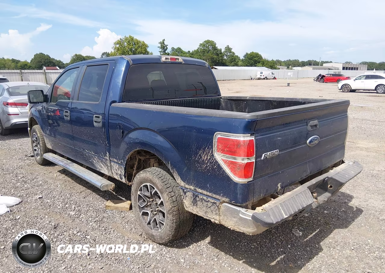 2010 Ford F-150 Fx2 Sport-Xl-Xlt VIN:1FTEW1C88AFD29880 - 3
