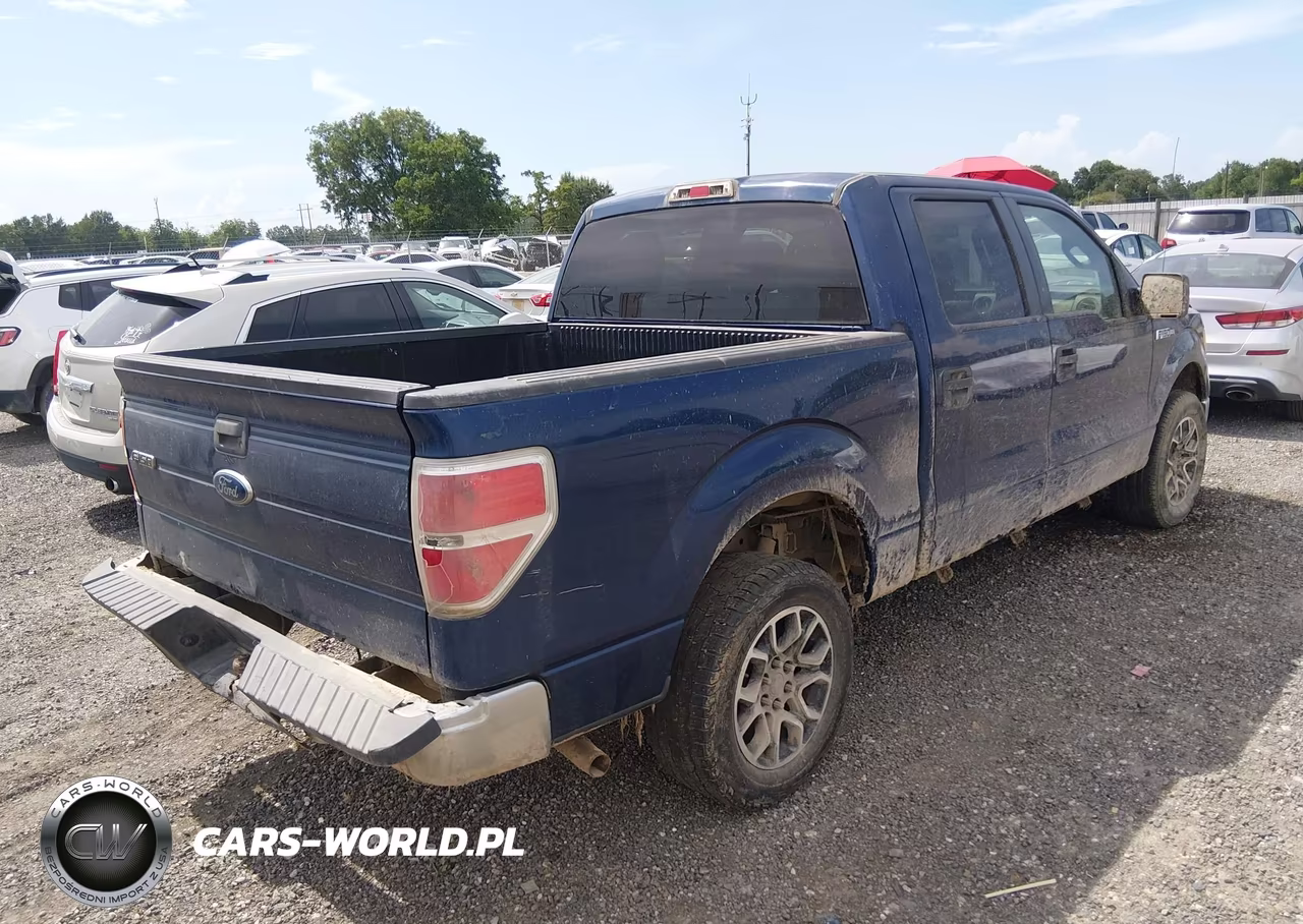 2010 Ford F-150 Fx2 Sport-Xl-Xlt VIN:1FTEW1C88AFD29880 - 4