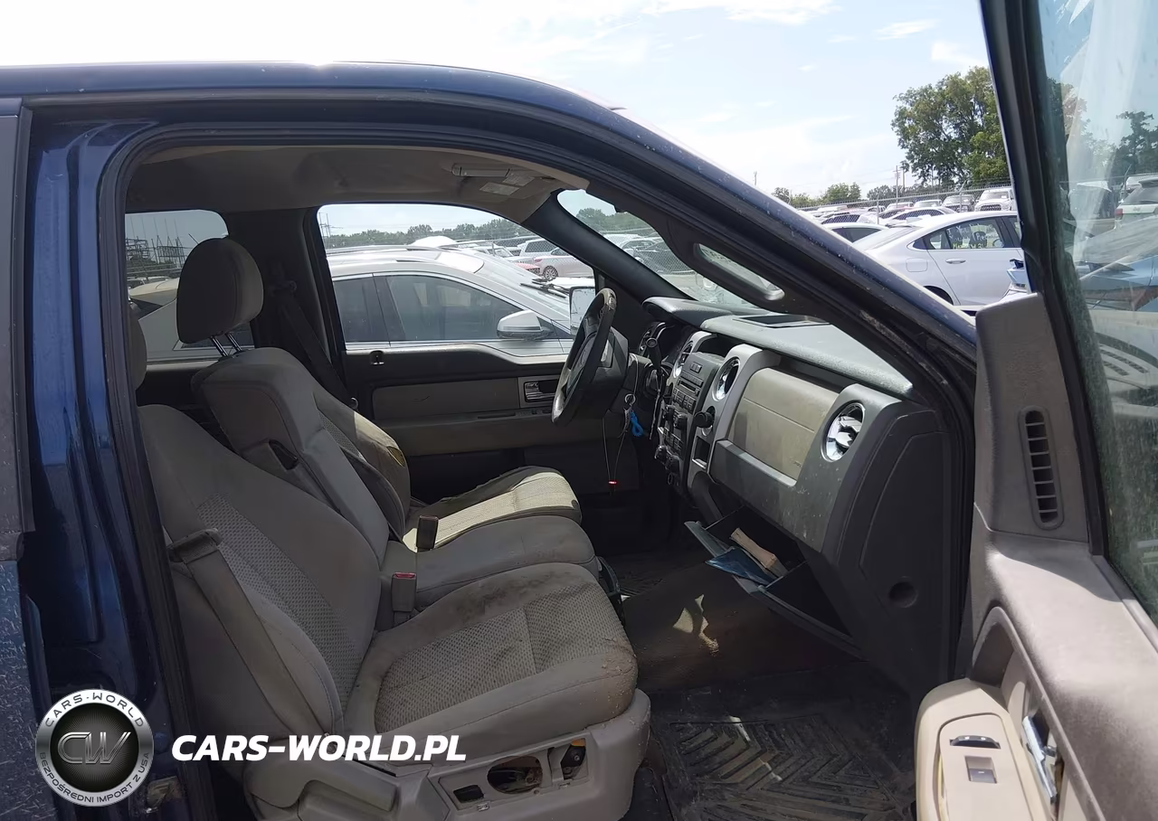 2010 Ford F-150 Fx2 Sport-Xl-Xlt VIN:1FTEW1C88AFD29880 - 5