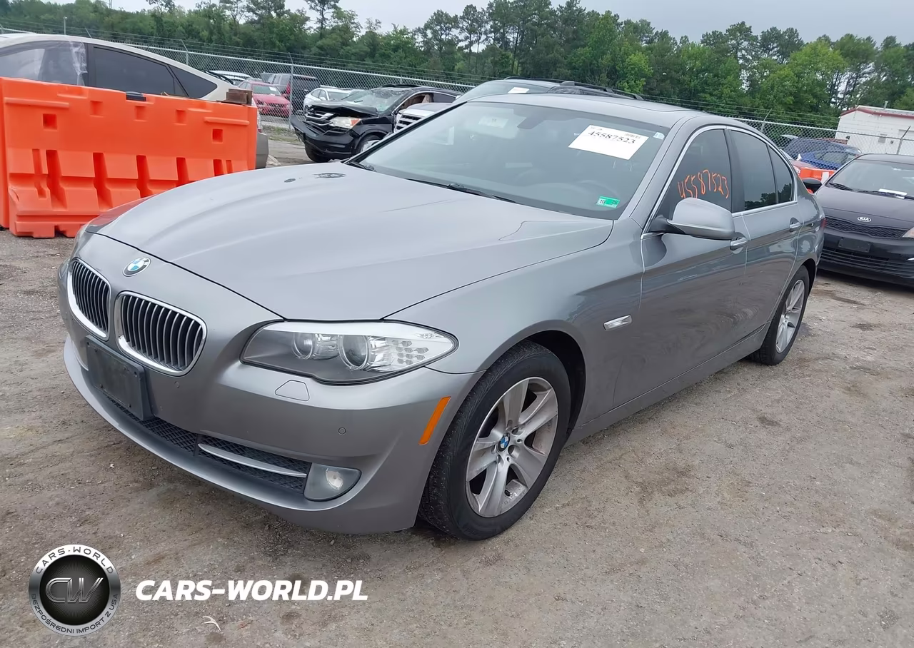2013 BMW 528I VIN:WBAXG5C59DD232042 - 2