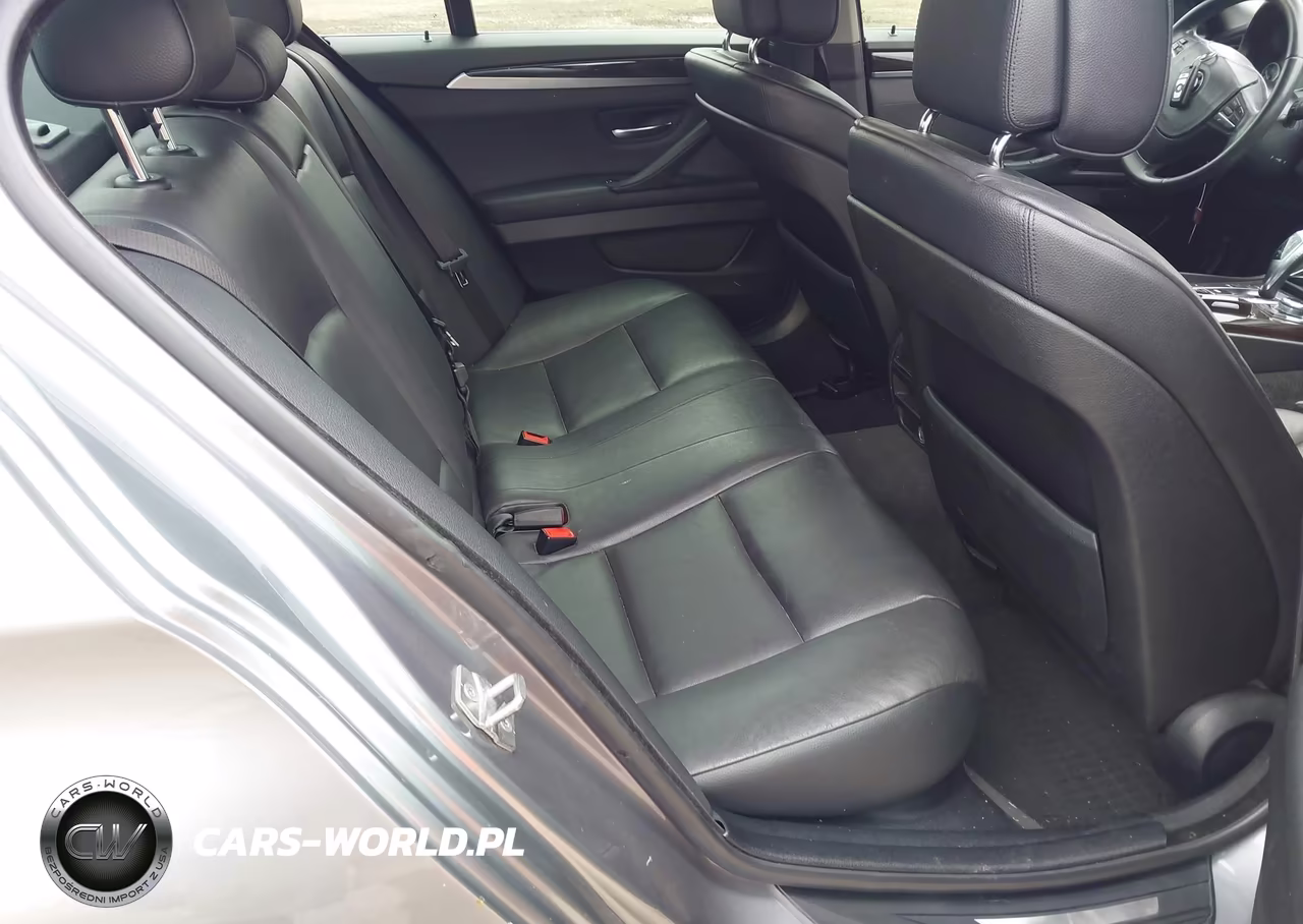 2013 BMW 528I VIN:WBAXG5C59DD232042 - 8