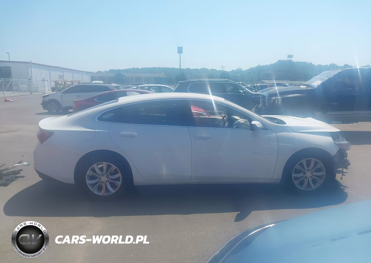 2019 Chevrolet Malibu Lt VIN:1G1ZD5STXKF113690 - 13