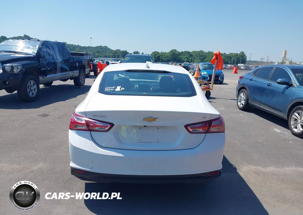 2019 Chevrolet Malibu Lt VIN:1G1ZD5STXKF113690 - 16