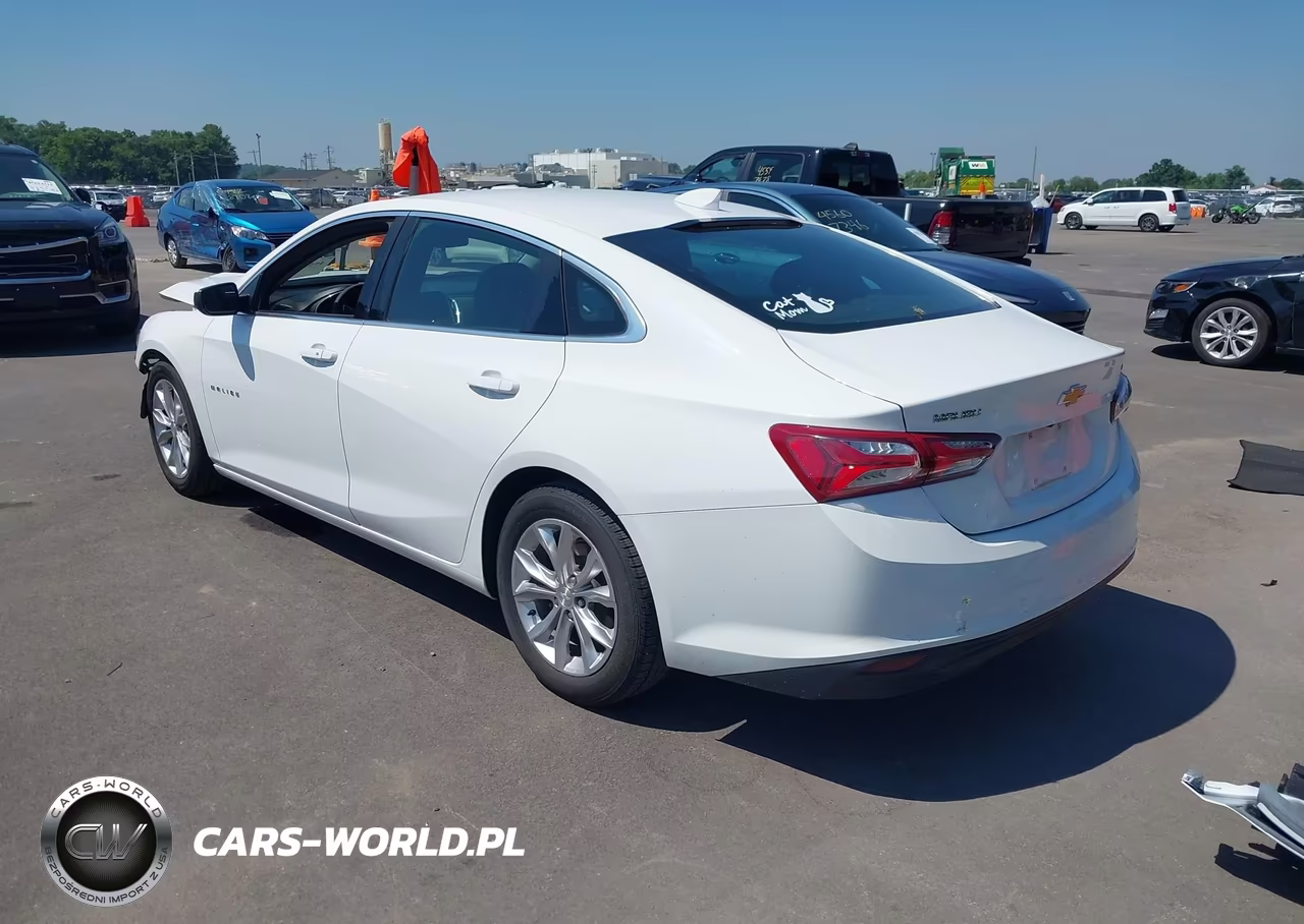 2019 Chevrolet Malibu Lt VIN:1G1ZD5STXKF113690 - 2