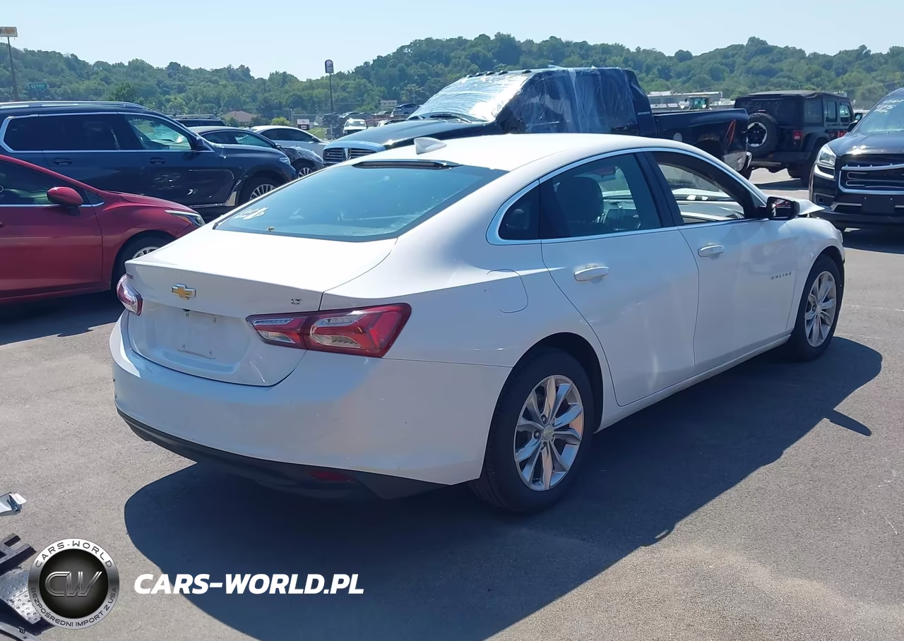 2019 Chevrolet Malibu Lt VIN:1G1ZD5STXKF113690 - 3