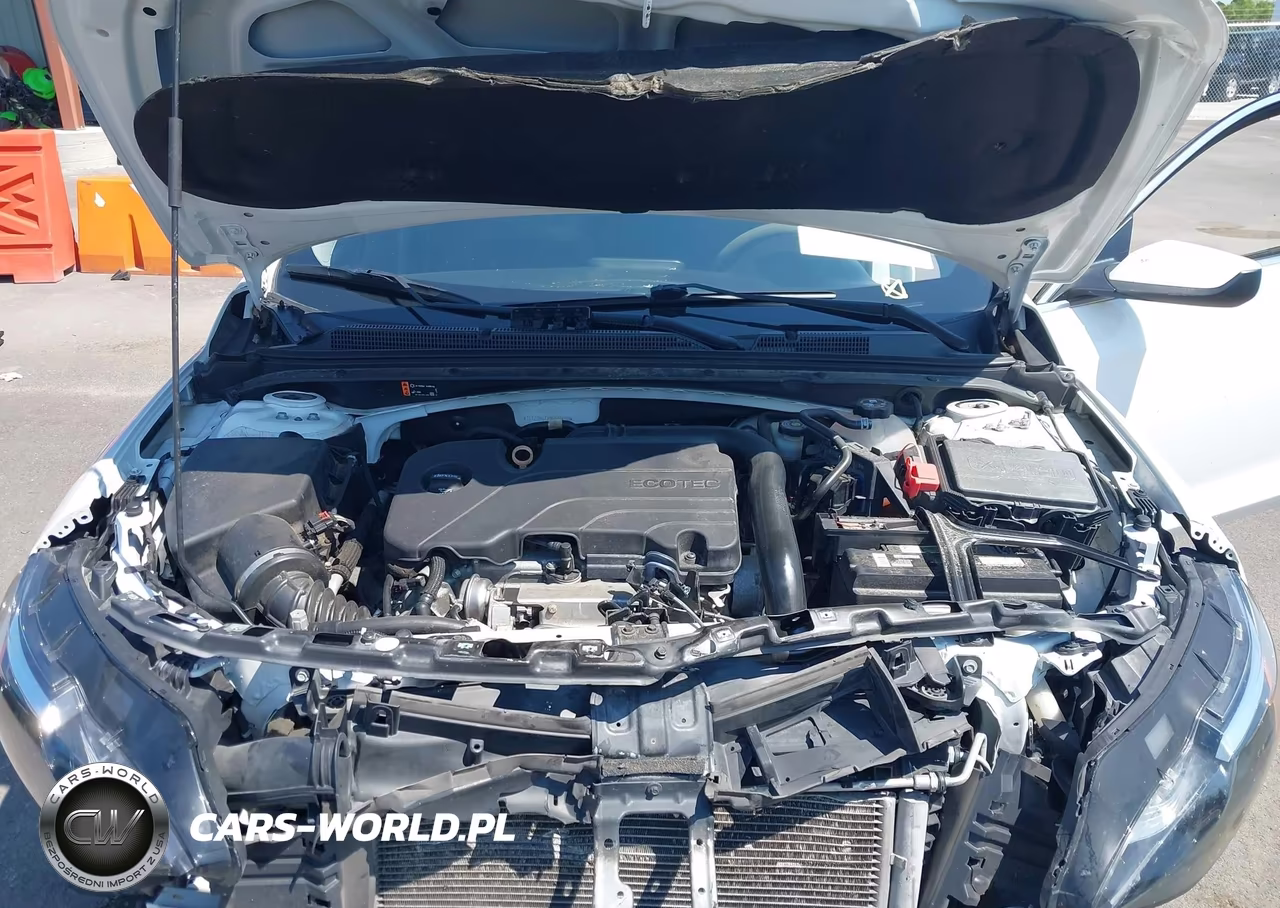 2019 Chevrolet Malibu Lt VIN:1G1ZD5STXKF113690 - 9