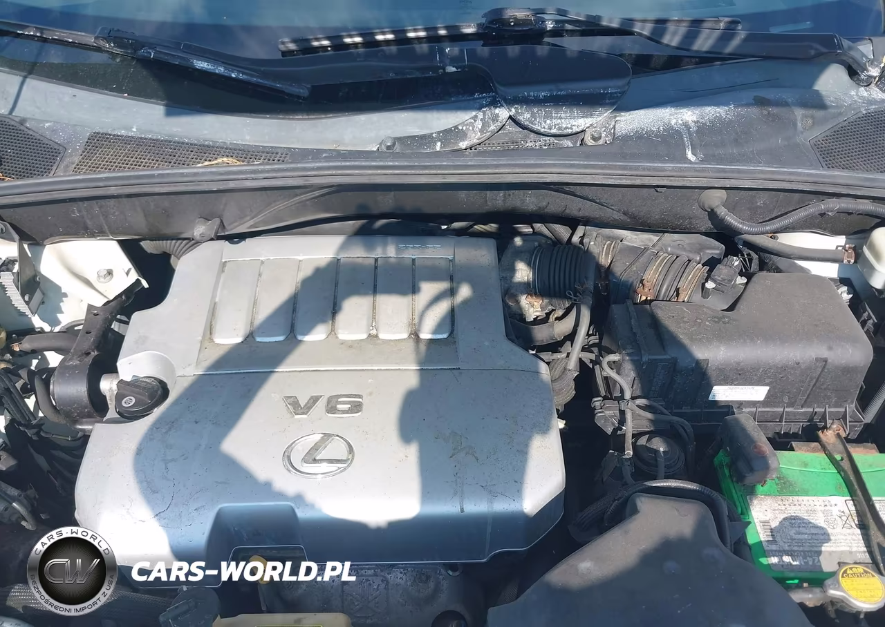 2009 Lexus Rx 350 VIN:2T2HK31U19C105273 - 10