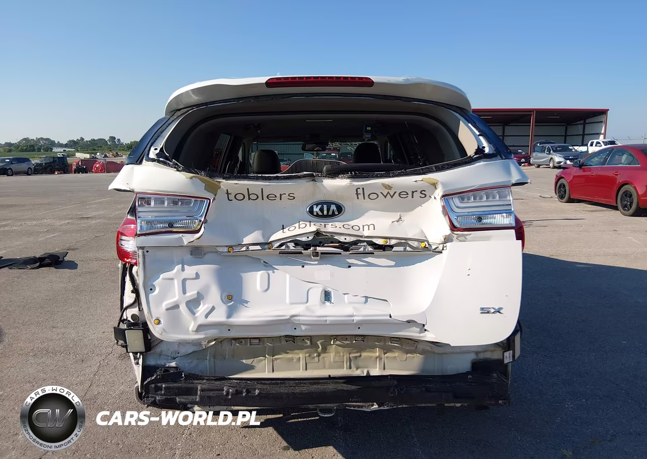 2016 Kia Sedona Sx VIN:KNDMC5C14G6147469 - 17