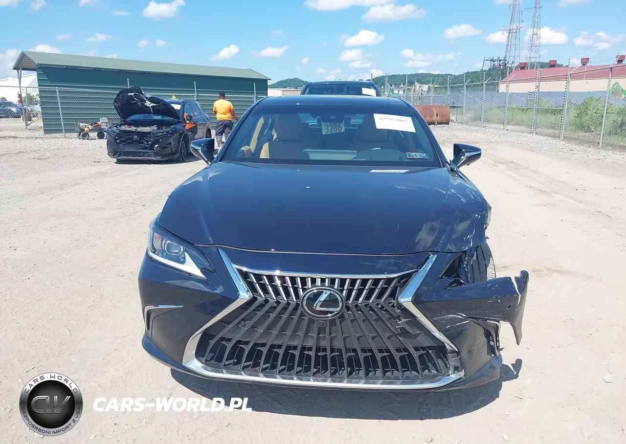 2024 Lexus Es 300H Luxury VIN:58AEA1C10RU040781 - 12