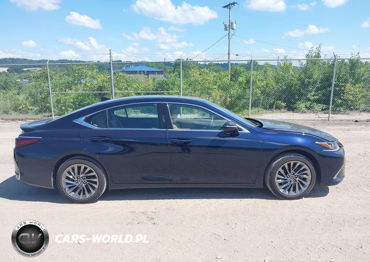 2024 Lexus Es 300H Luxury VIN:58AEA1C10RU040781 - 13