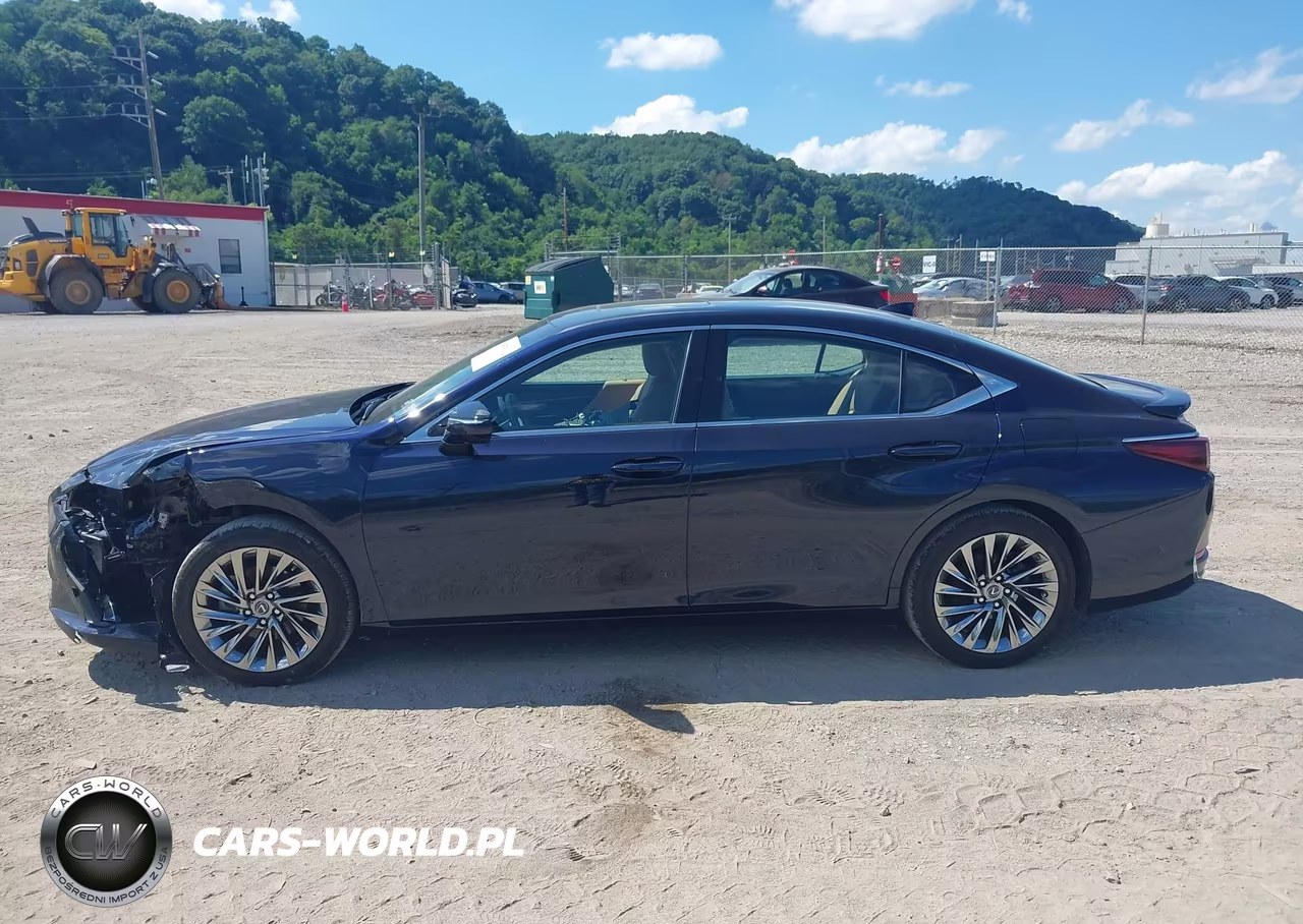 2024 Lexus Es 300H Luxury VIN:58AEA1C10RU040781 - 14