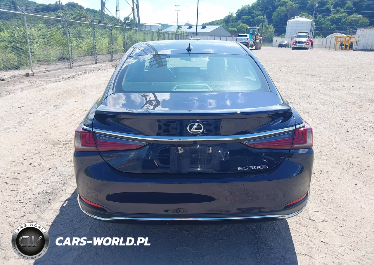 2024 Lexus Es 300H Luxury VIN:58AEA1C10RU040781 - 16