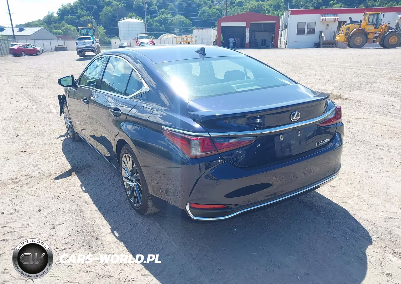 2024 Lexus Es 300H Luxury VIN:58AEA1C10RU040781 - 3