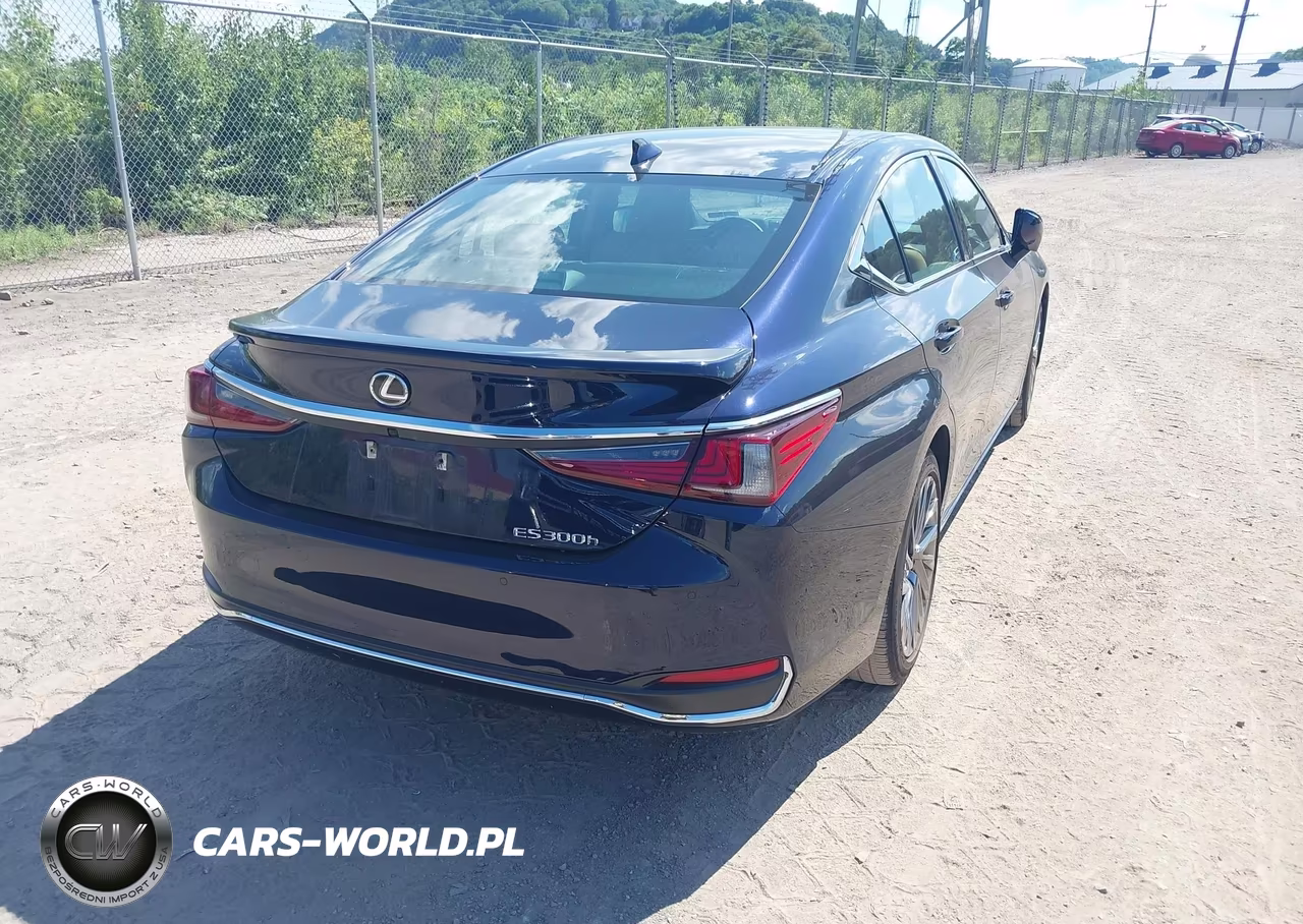 2024 Lexus Es 300H Luxury VIN:58AEA1C10RU040781 - 4