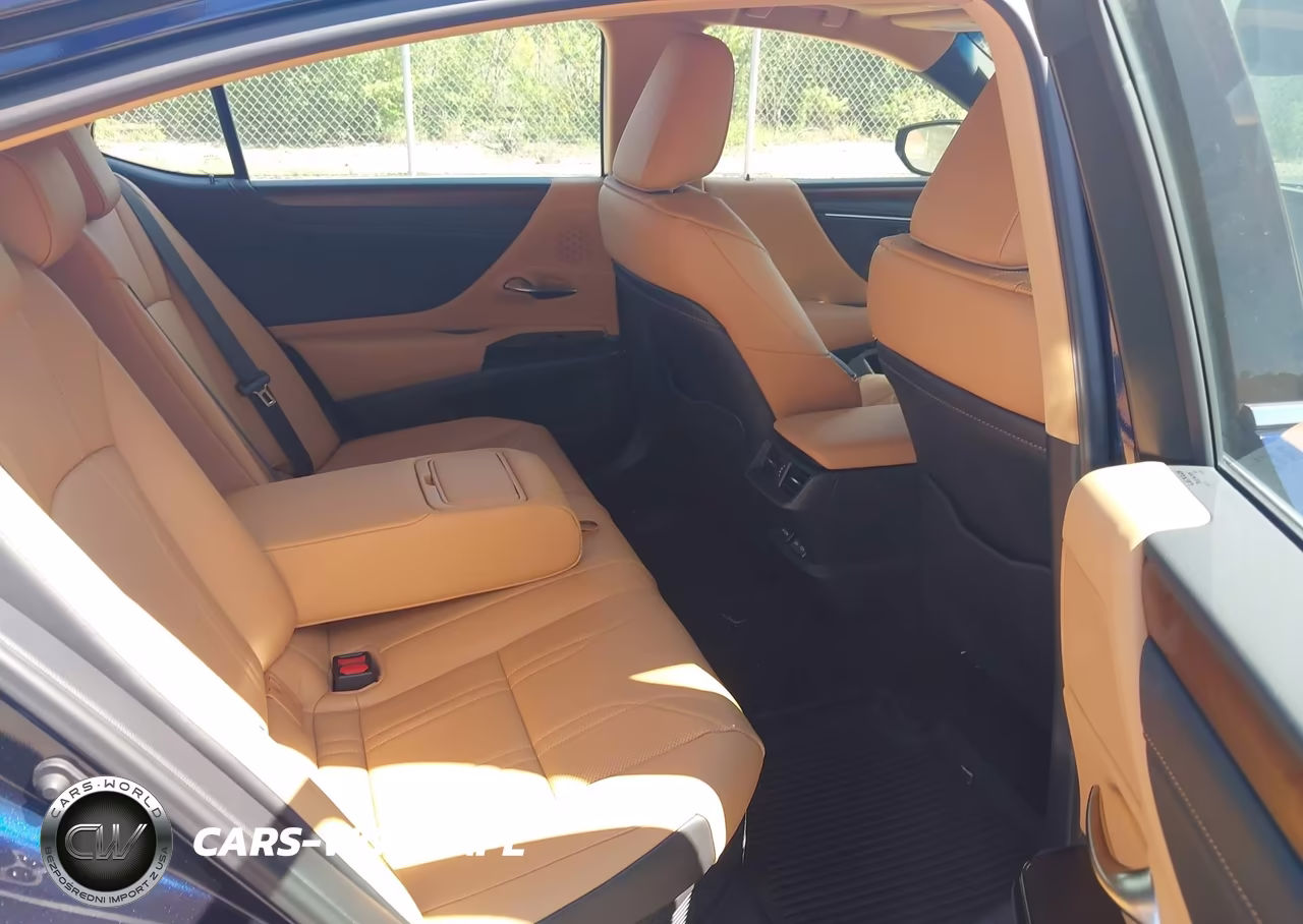 2024 Lexus Es 300H Luxury VIN:58AEA1C10RU040781 - 8