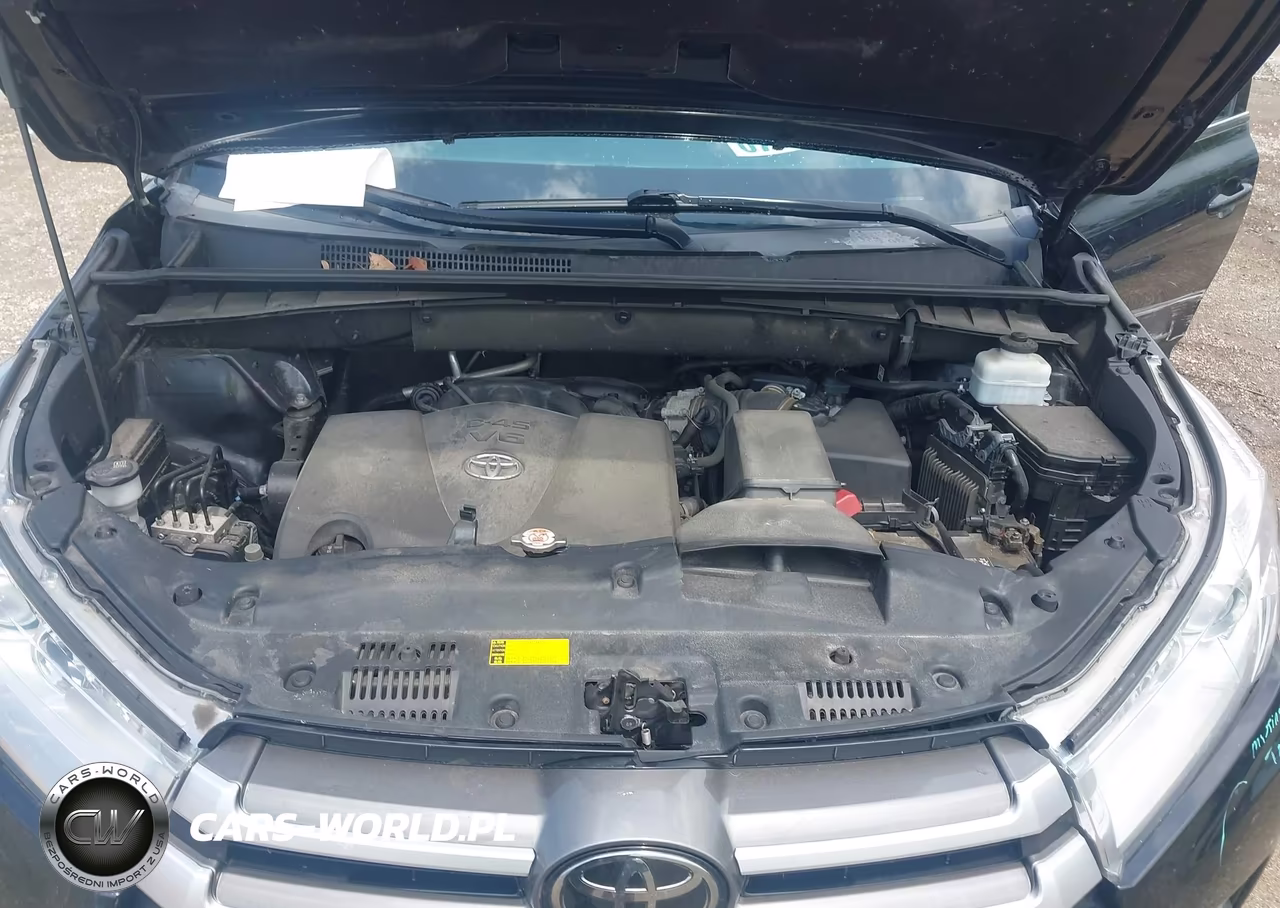 2019 Toyota Highlander Xle VIN:5TDJZRFH8KS589794 - 10