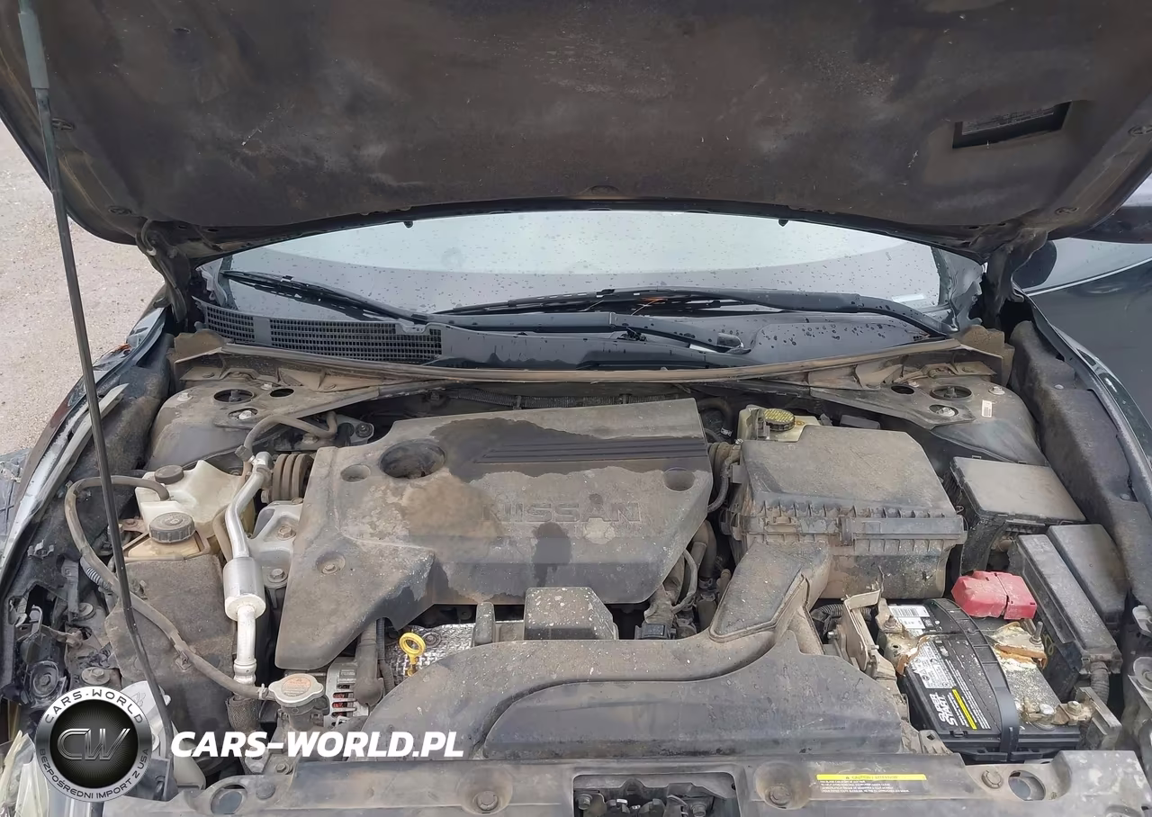 2016 Nissan Altima 2.5 S VIN:1N4AL3AP9GN333115 - 10
