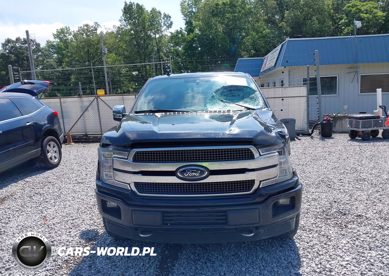 2018 Ford F-150 Platinum VIN:1FTEW1E50JFD50628 - 12