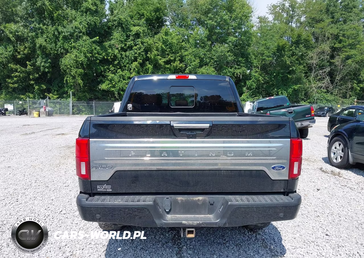2018 Ford F-150 Platinum VIN:1FTEW1E50JFD50628 - 16