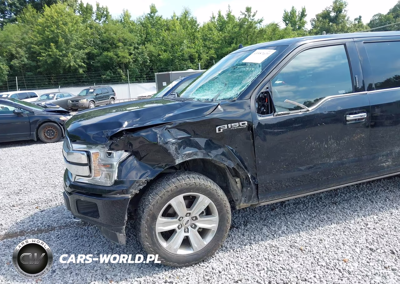 2018 Ford F-150 Platinum VIN:1FTEW1E50JFD50628 - 17