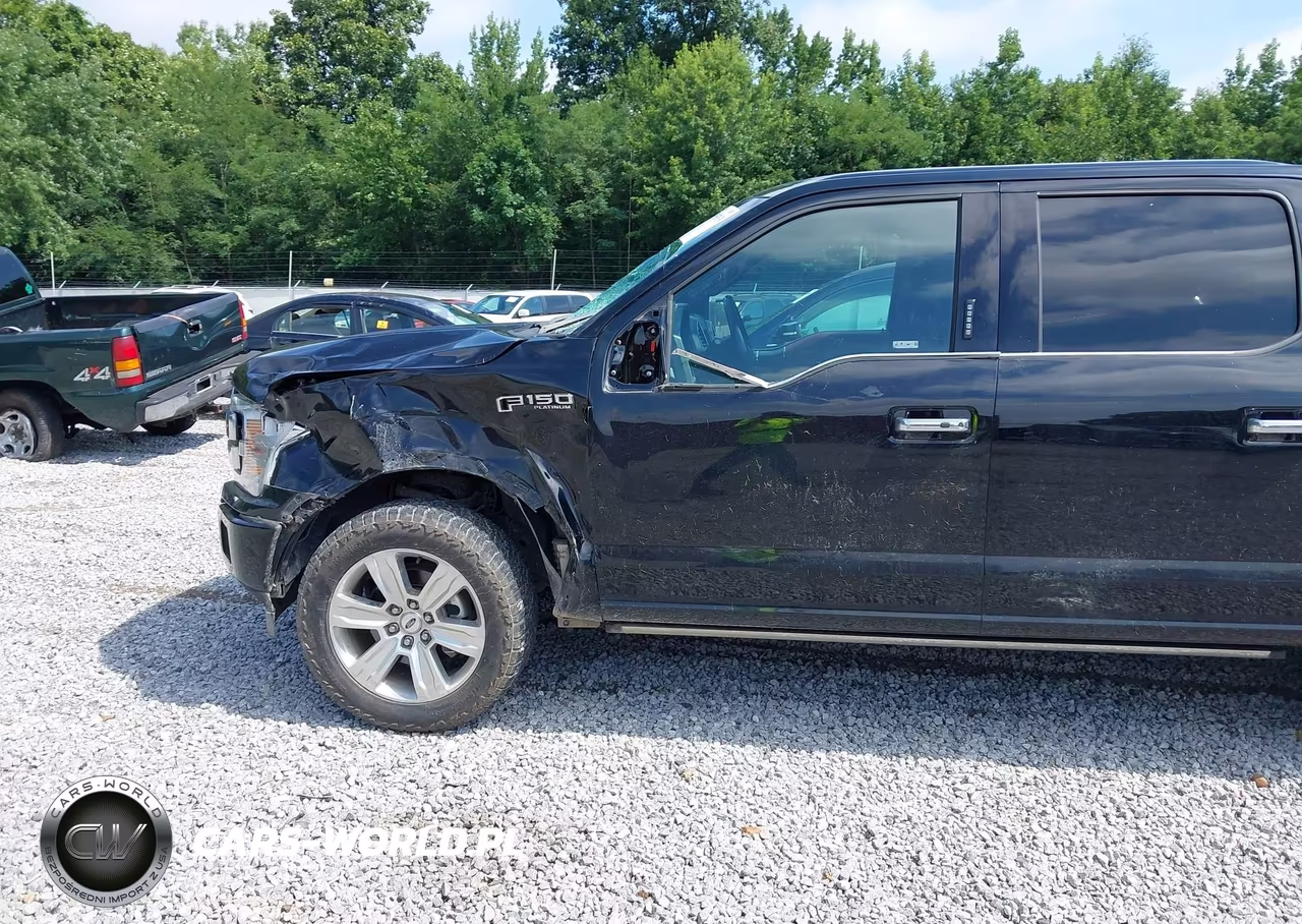 2018 Ford F-150 Platinum VIN:1FTEW1E50JFD50628 - 18