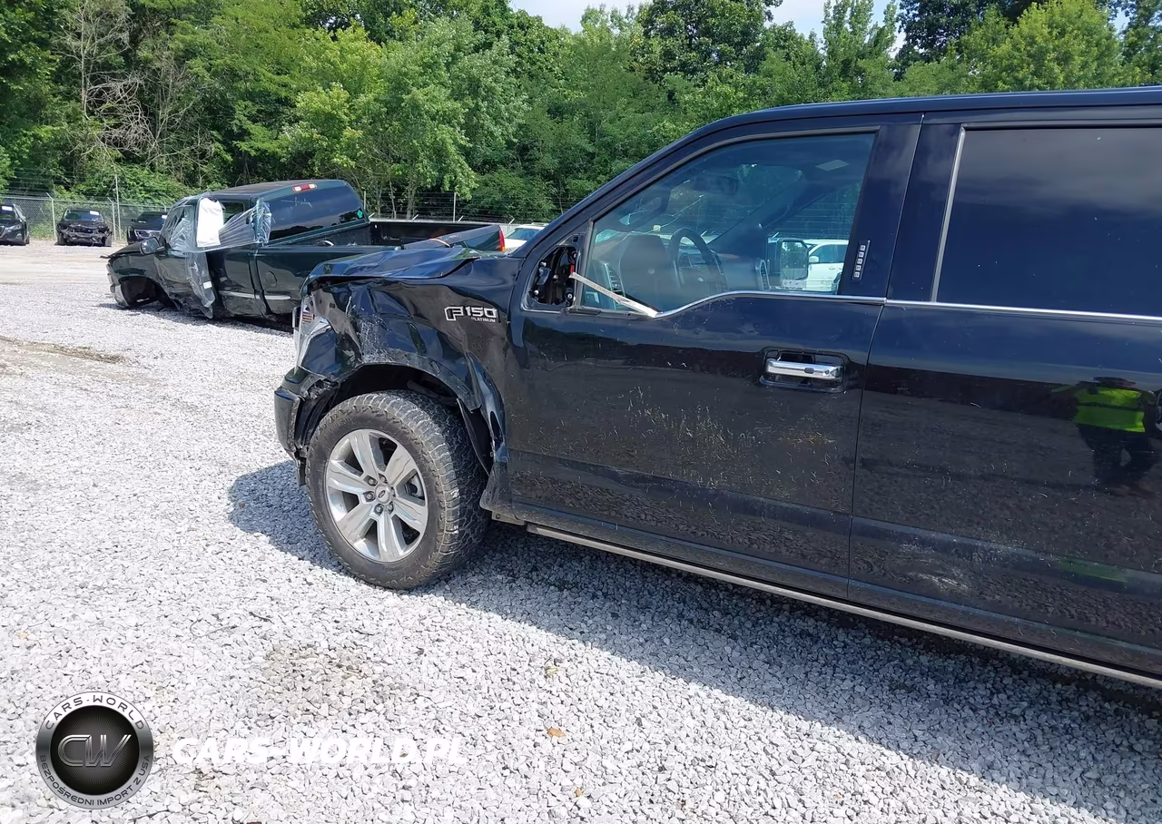 2018 Ford F-150 Platinum VIN:1FTEW1E50JFD50628 - 19