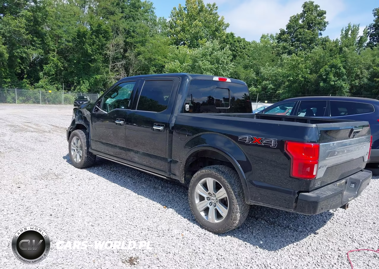 2018 Ford F-150 Platinum VIN:1FTEW1E50JFD50628 - 3