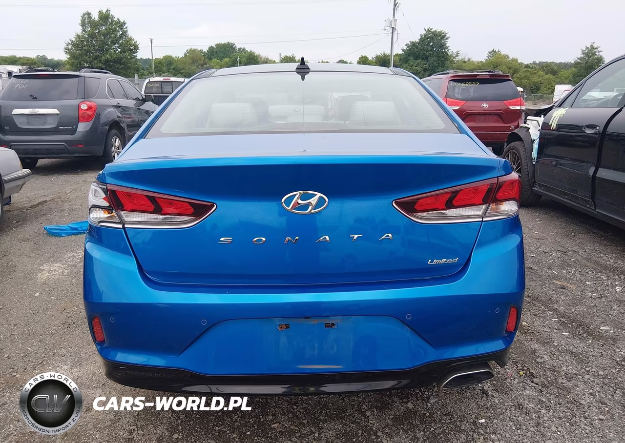 2019 Hyundai Sonata Limited VIN:5NPE34AF7KH737127 - 16