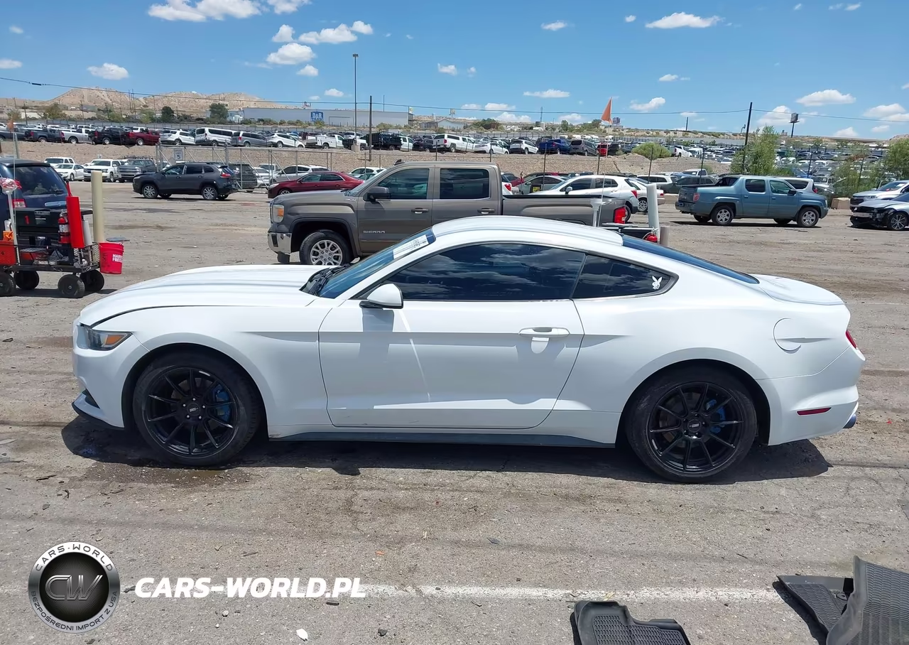 2017 Ford Mustang V6 VIN:1FA6P8AMXH5272582 - 14