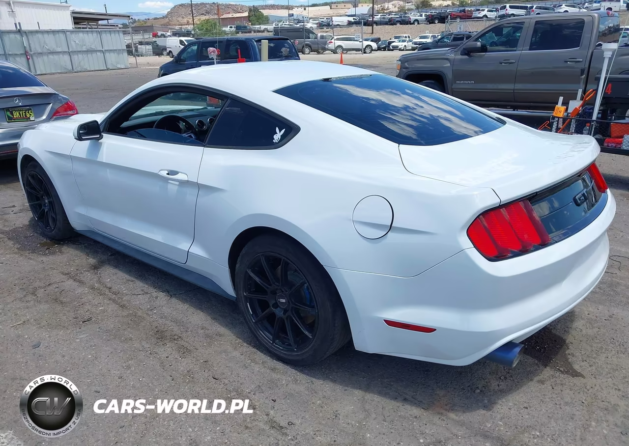 2017 Ford Mustang V6 VIN:1FA6P8AMXH5272582 - 3