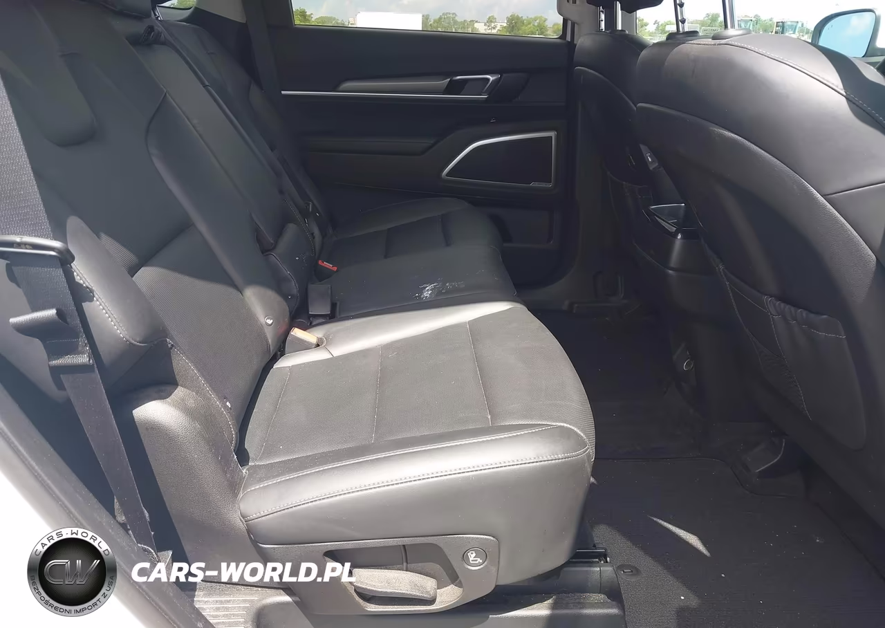 2021 Kia Telluride Lx VIN:5XYP24HC4MG172028 - 8