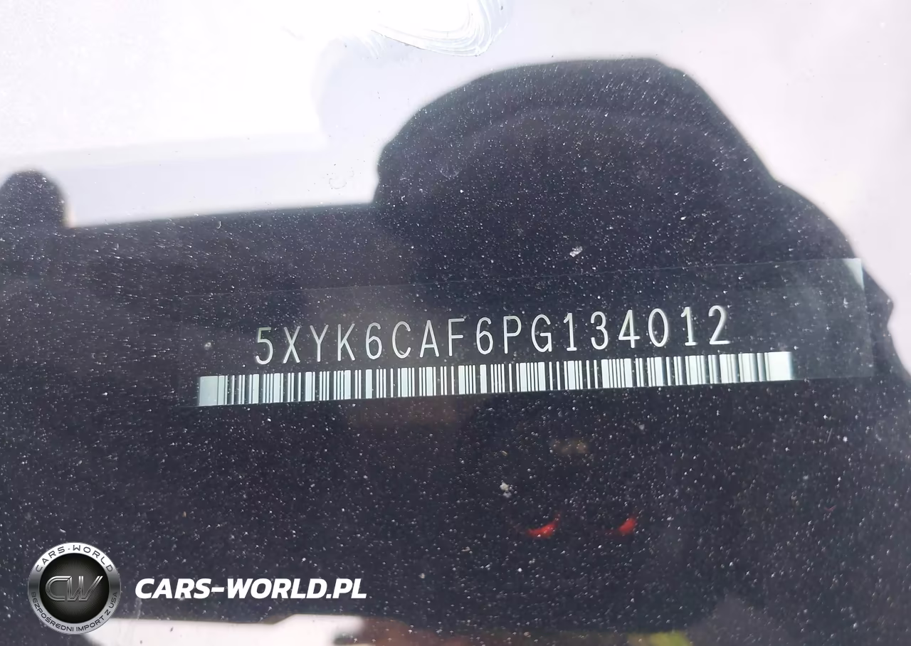 2023 Kia Sportage X-Line VIN:5XYK6CAF6PG134012 - 18