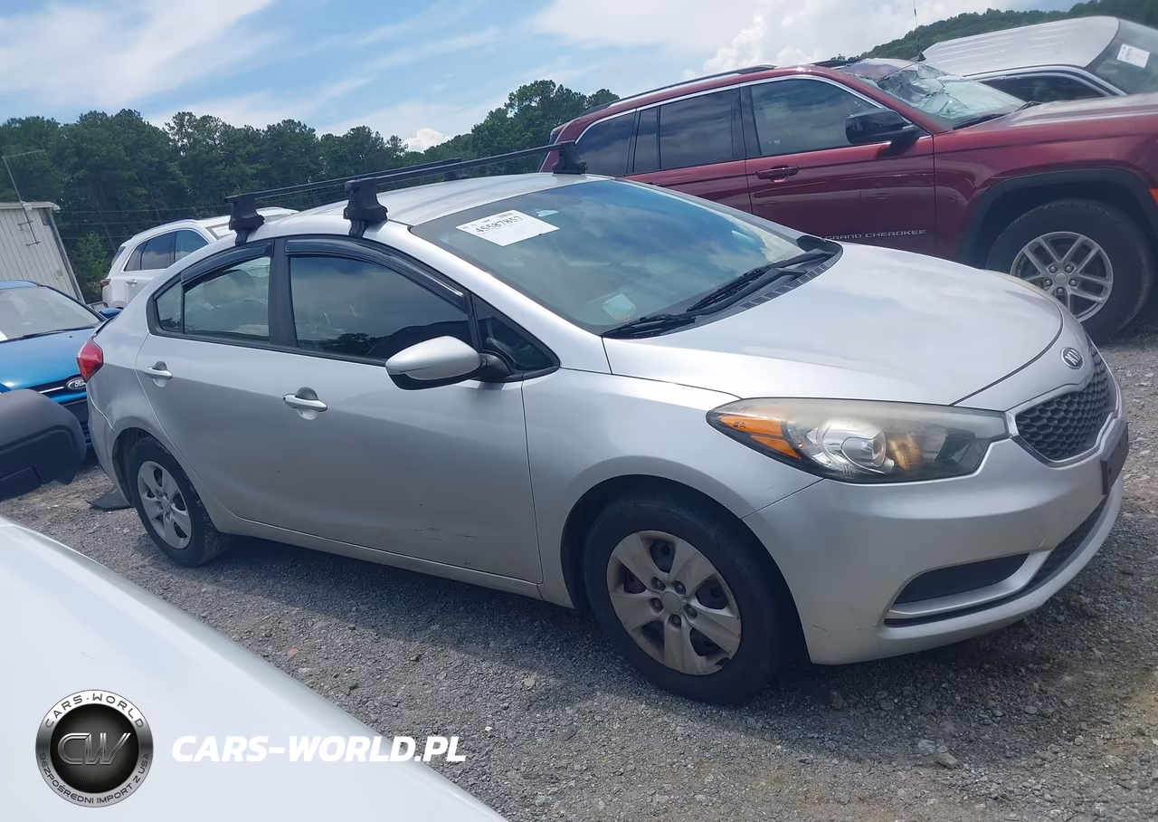 2014 Kia Forte Lx VIN:KNAFK4A66E5147297 - 13