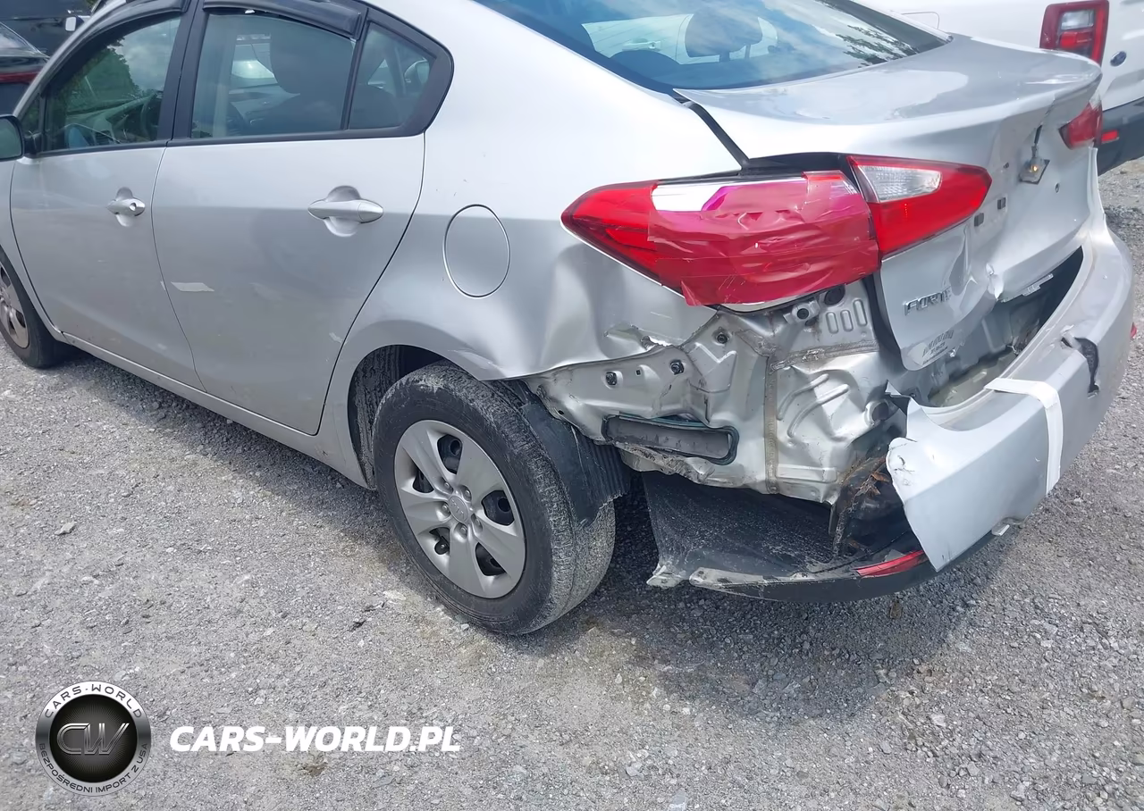 2014 Kia Forte Lx VIN:KNAFK4A66E5147297 - 6