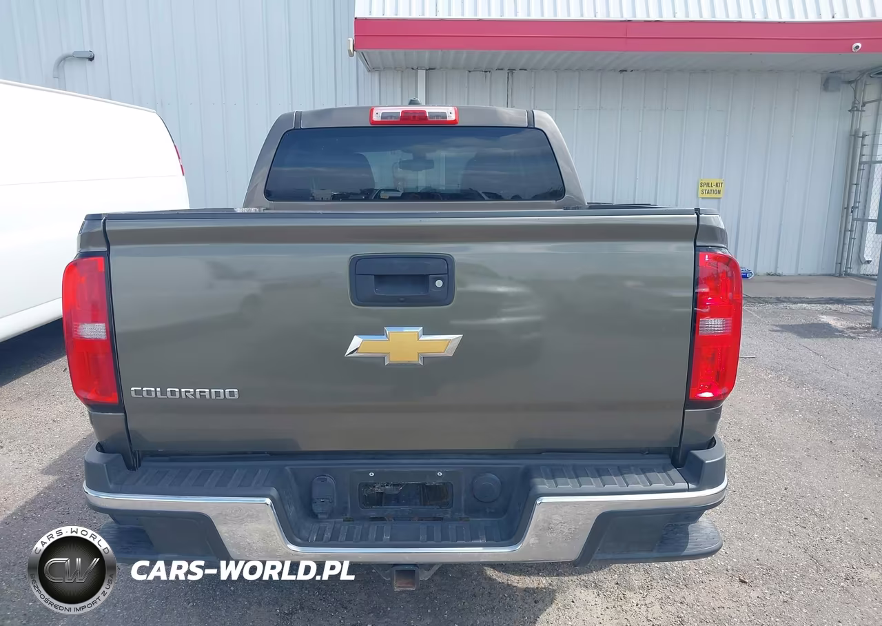 2016 Chevrolet Colorado 4Wd Wt VIN:1GCGTBE36G1310193 - 16