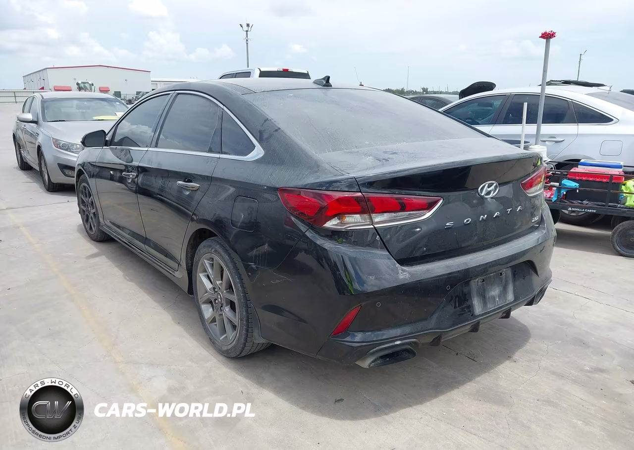 2019 Hyundai Sonata Limited 2.0T VIN:5NPE34AB4KH773256 - 3