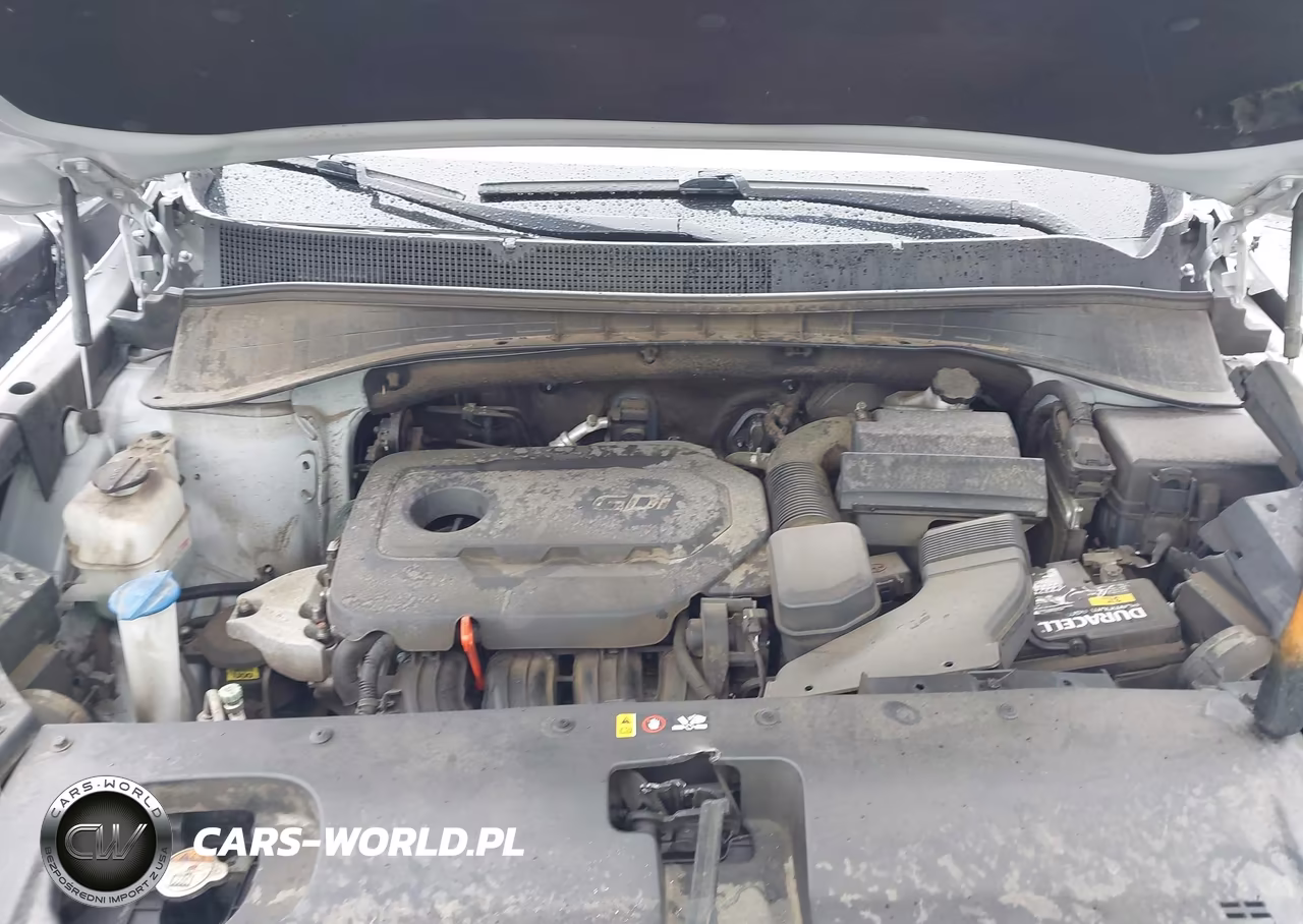 2016 Kia Sorento 2.4L Lx VIN:5XYPG4A31GG019736 - 10