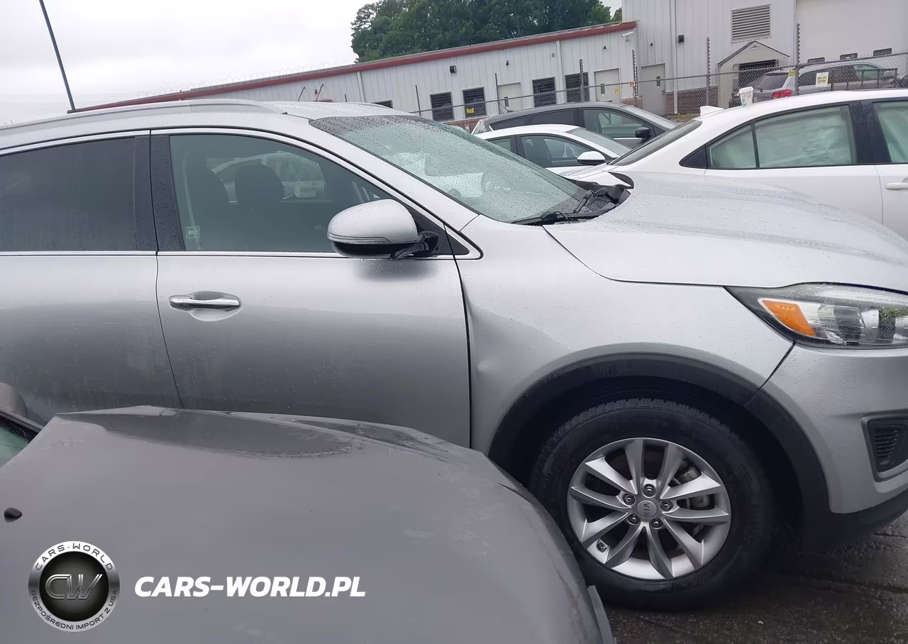 2016 Kia Sorento 2.4L Lx VIN:5XYPG4A31GG019736 - 13